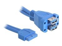 Delock Usb 3.0 Pin Header - Usb Intern Til Ekstern Kabel - 19 Pin Usb 3.0 Samlekasse (Hun) Til Usb Type A (Hun) - 45 Cm - Blå