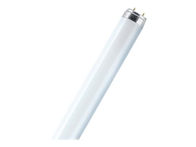 OSRAM LUMILUX T8 - Fluorescerende lyspære - form: T8 - G13 - 58 W - klasse A - køligt hvidt lys - 4000 K