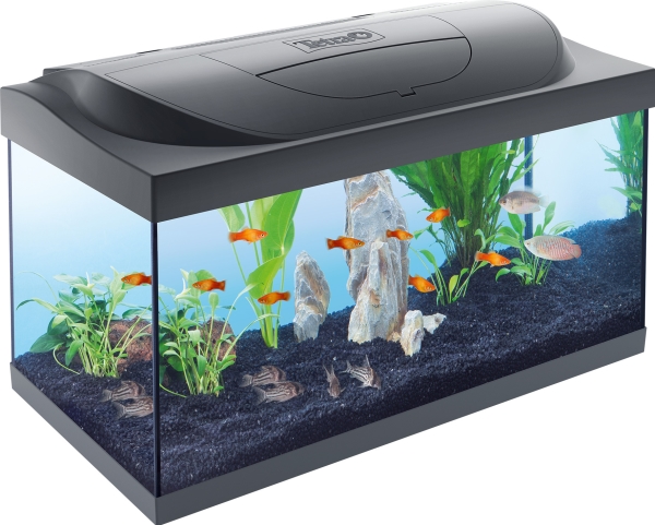 Tetra Aquarium - Starter Line Tank Led 54L, Schwarz