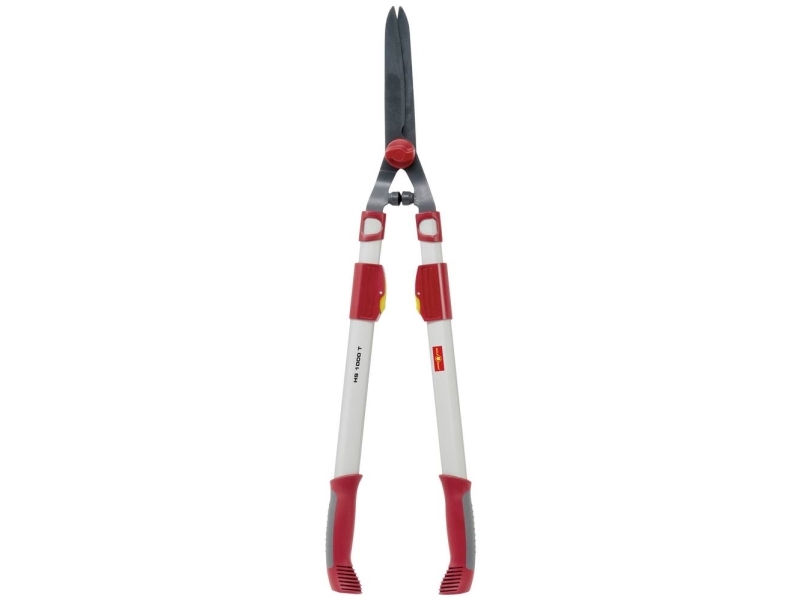 W-F-Have 4009269305860