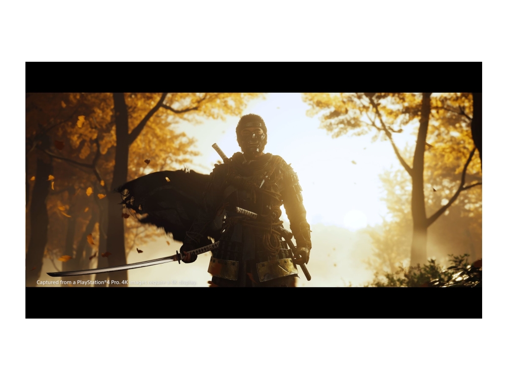 Sony Ghost Of Tsushima Director''s Cut (Ps5), Playstation 5, Multiplayer-Modus, M (Reif), Physische Medien