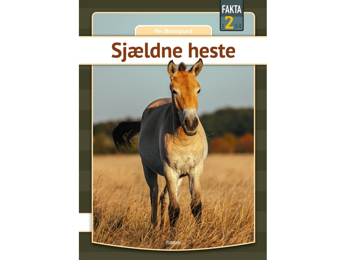 Sjældne Heste | Per Østergaard