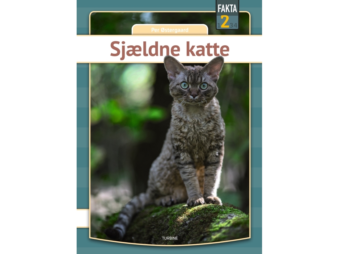 Sjældne Katte | Per Østergaard