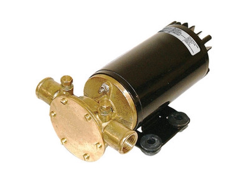 Johnson Impellerpumpe F4b-19 24V