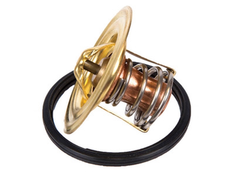 Orbitrade Thermostat 60Gr.Md2, Md3, Md11, Md17