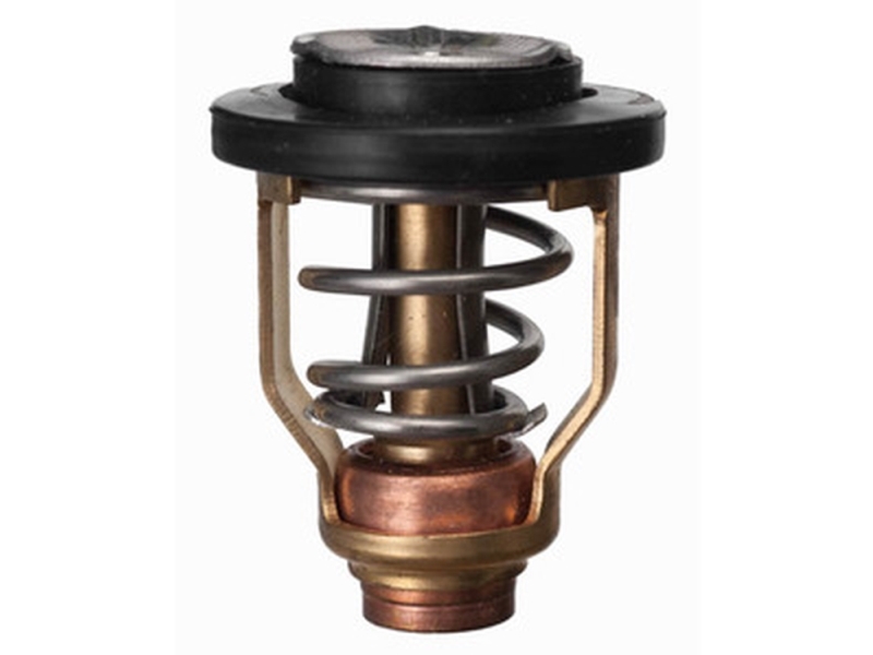 Sierra Thermostat 50 Gr. Yamaha