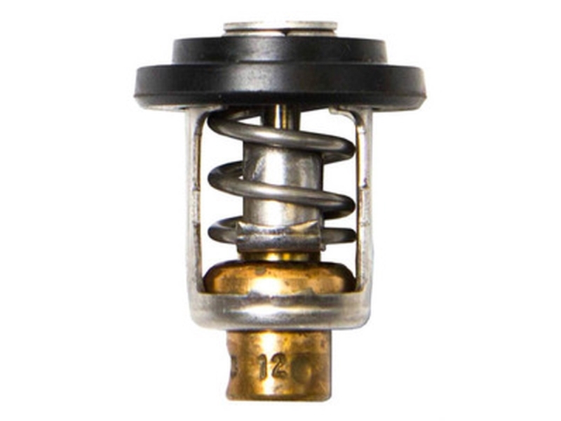 Sierra Thermostat 50Gr. Yamaha