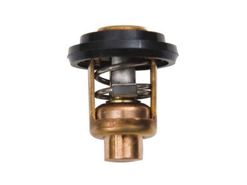Sierra Thermostat-Kit 60Gr. Yamaha