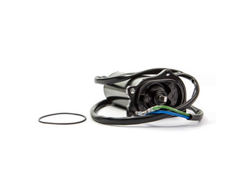 Sierra Tilt/Trim-Motor. Mercury/Force