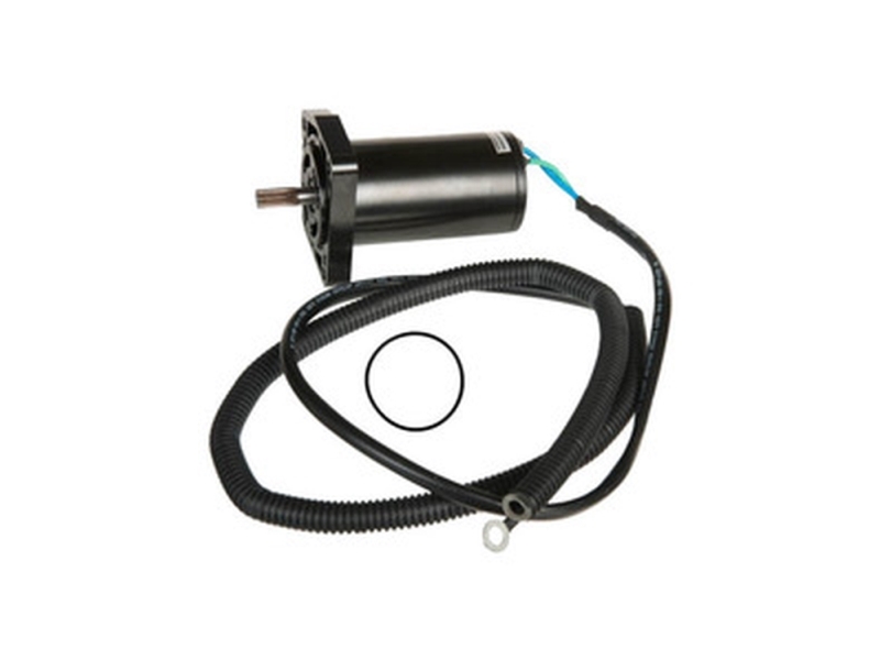 Sierra Tilt/Trim-Motor. Yamaha