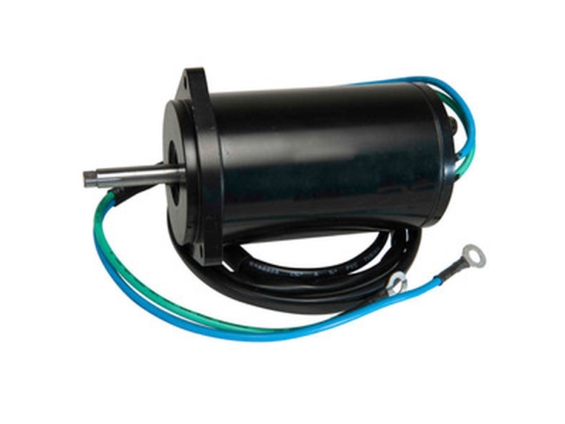 Sierra Tilt/Trim-Motor Yamaha