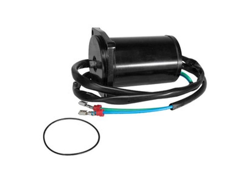 Sierra Tilt-/Trim-Motor, Evinrude/Johnson