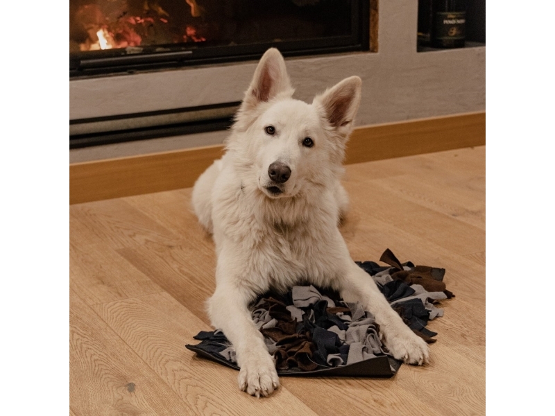 DINGO Nuuskamuikkunen - 60x40 cm