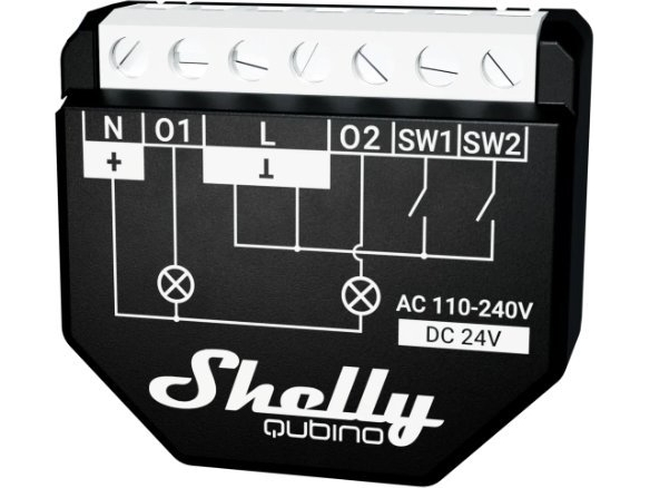 Shelly Qubino Wave 2Pm
