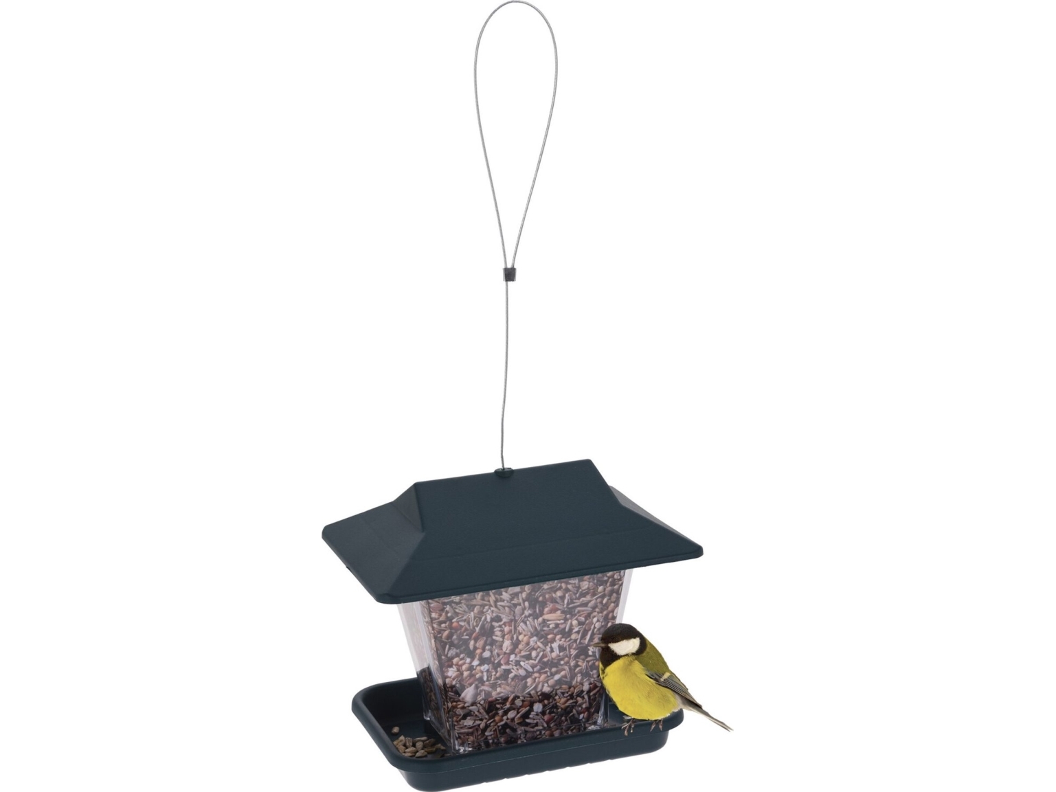 ProGarden Hängande fågelmatare för fröer | Sällskapsdjur - Fågel - Fågel mat | GameStuff