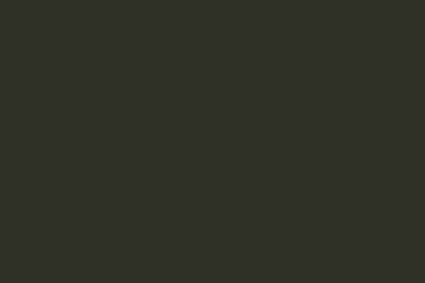 Vallejo Vallejo: 70.741 - Model Color - Camouflage Black Green (18 Ml)