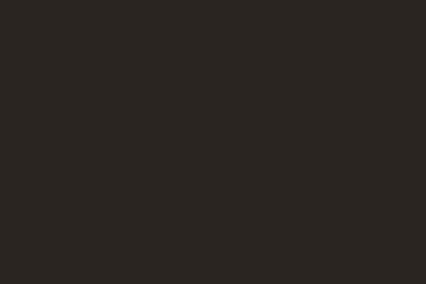 Rost Dunkel 18Ml