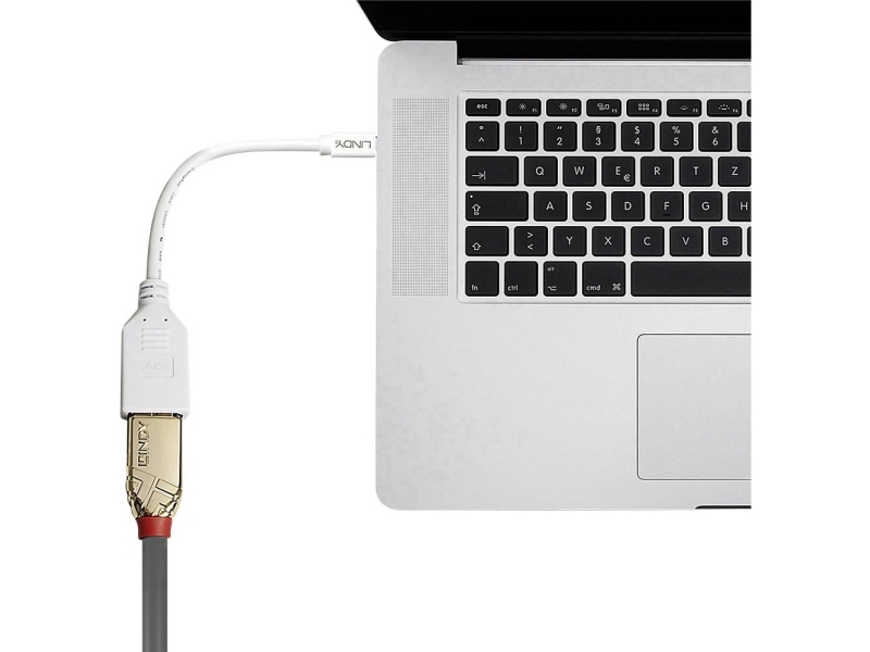 Adapter Mini Dp To Dp 0.2M 41021 Lindy