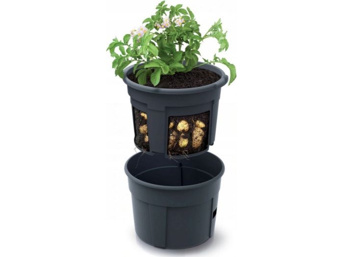 Prosperplast Vazonas Bulvių Sodinimui 39,2 Cm