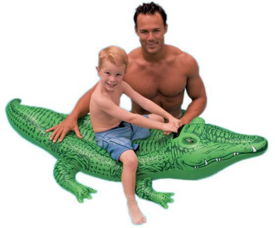 Intex 58546NP, Grön, Sittbadleksak, Bild, Vinyl, 3 År, 40 kg | Trädgården - Pools & Vatten spel - Badluftsmadrasser | GameStuff