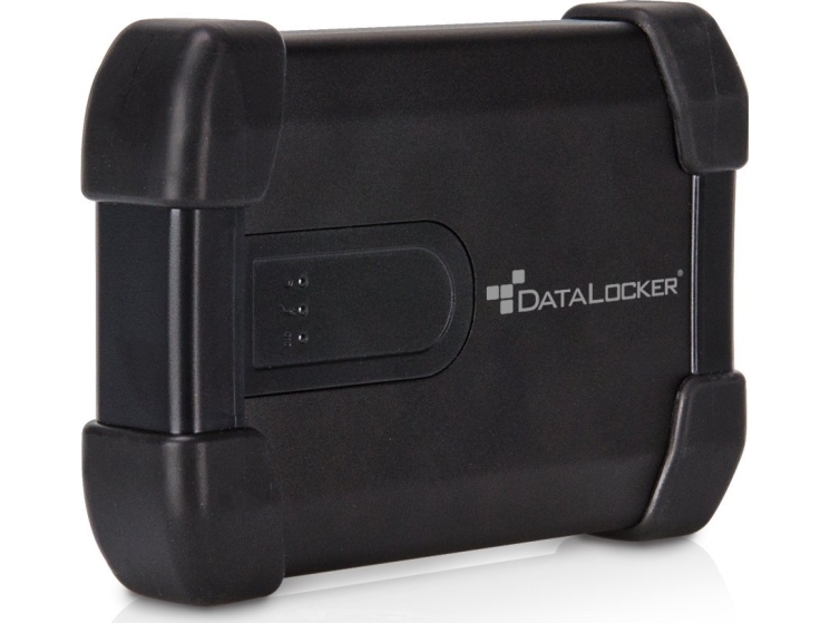 Datalocker H300 Basic 500Gb Externe Ssd Schwarz