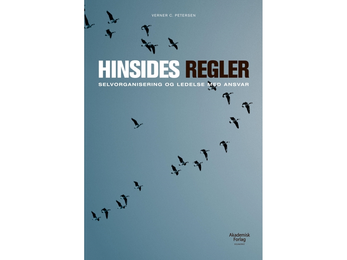 Jenseits Von Regeln | Verner C. Petersen | Sprache: Dänish