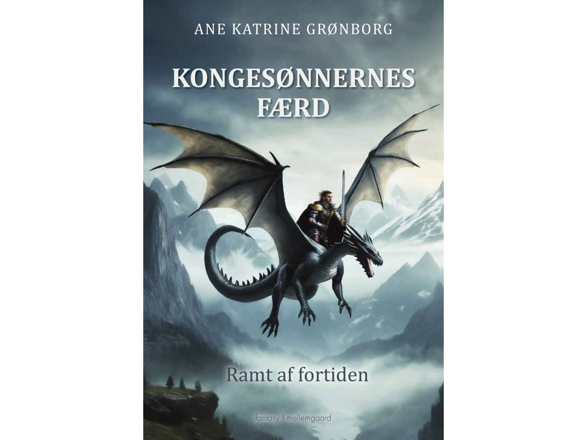 Kongesønnernes Færd | Ane Katrine Grønborg