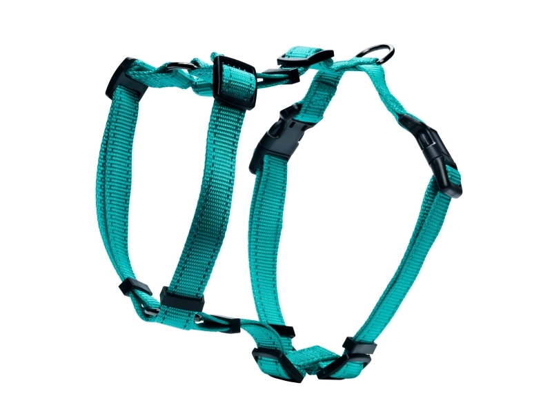 Dogman H-Sele Iris Turkis 20Mm