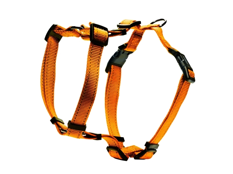 Dogman H-Sele Iris Orange M/L