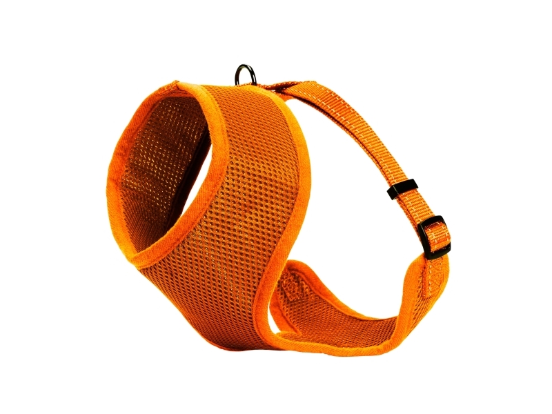 DOGMAN Meshsele Iris orange M