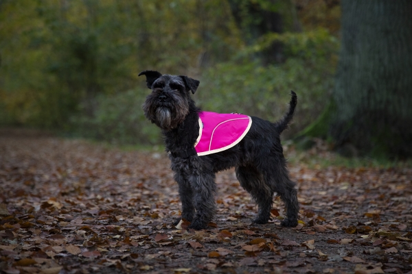 Dogman Rex Reflekterende Hundevest Rosa XXL 45cm