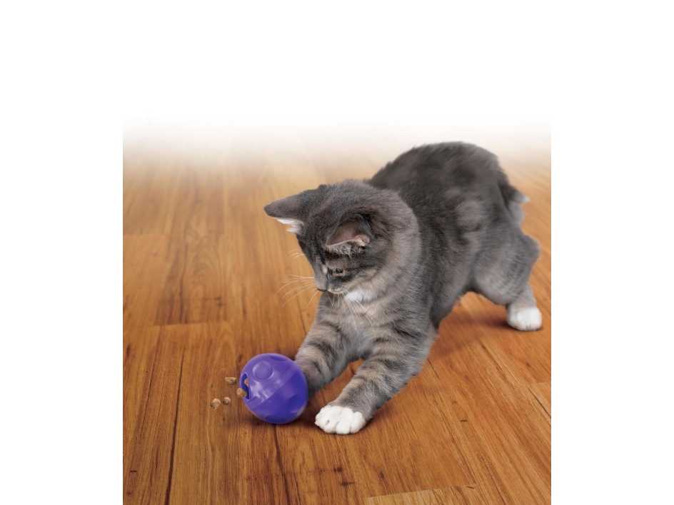 Kong Kattleksak Aktivering Treat Ball Blå 8cm | Sällskapsdjur - Katt - Katt leksaker | GameStuff