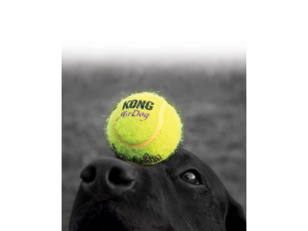 KONG Kong tennispallo Large