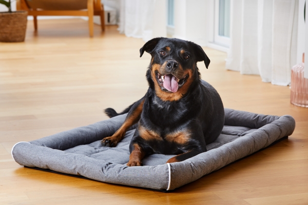 Dogman Buddy Hundemåtte Med Kant Grå 46Cm