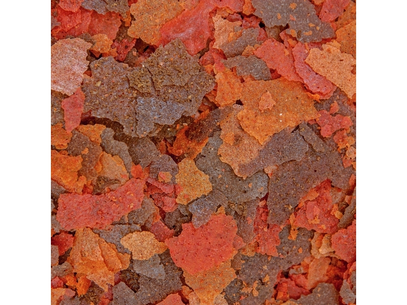 Ocean Nutrition Brine Shrimp Artemia Flingor 71g | Sällskapsdjur - Fisk & reptiler - Fisk & Reptil Mat | GameStuff