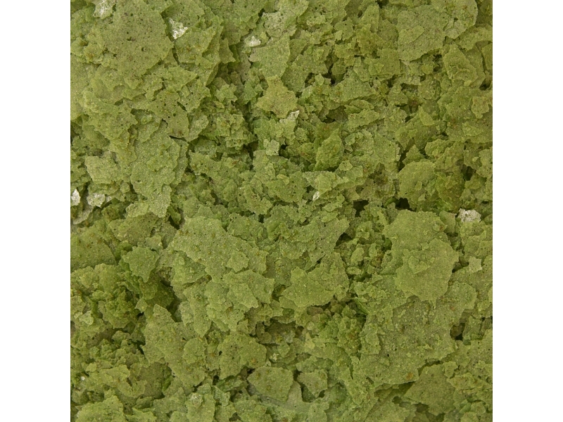 Ocean Nutrition Spirulina Flingor 71g | Sällskapsdjur - Fisk & reptiler - Fisk & Reptil Mat | GameStuff