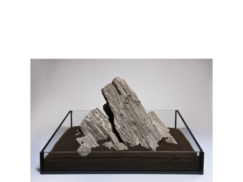 Aquadeco Sten Glier Wood | Sällskapsdjur - Fisk & reptiler | GameStuff