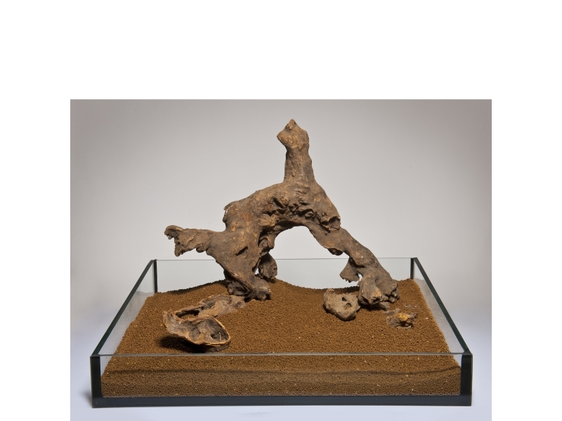 AQUADECO Savannah Wood pris/kg