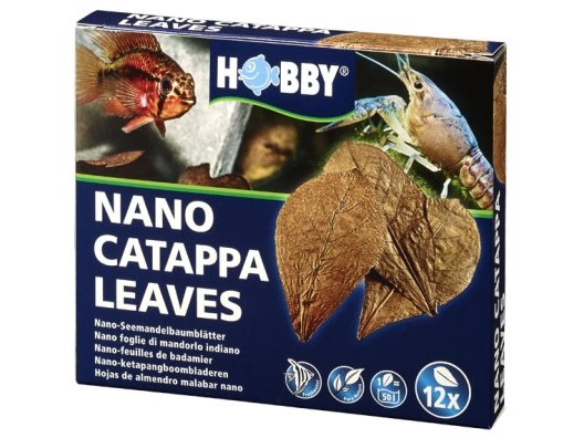 Hobby Catappa Blatt Nano 12 Stk