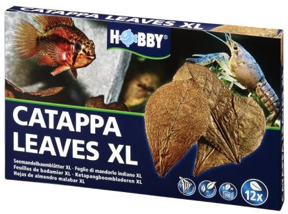 Hobby Catappa Blade Xl 12P