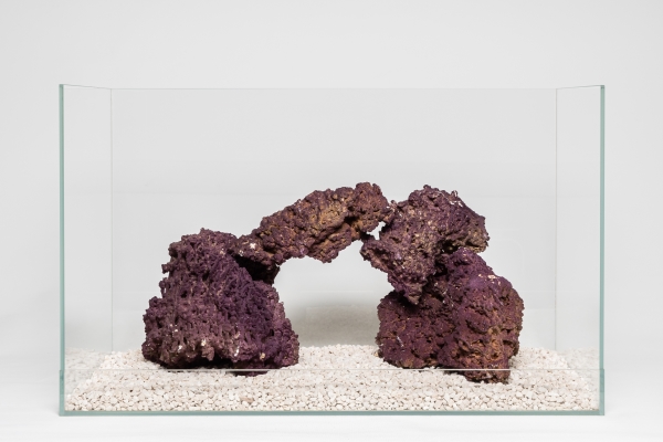 Aquadeco Jurassic Sten M