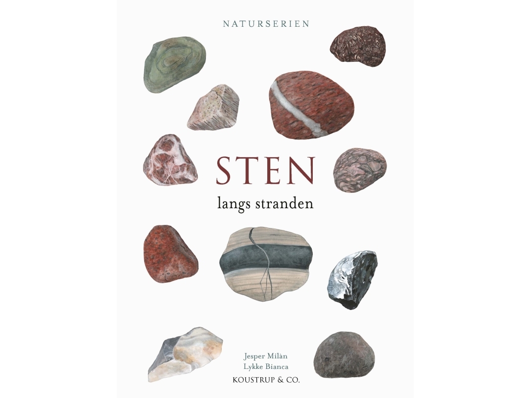 STEN | Jesper Milàn