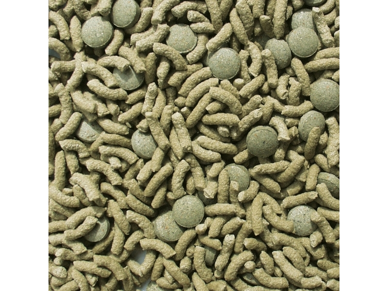 Sera Raffy Vital Nature Planteædende Krybdyr Skildpadde Wheat Flour Corn Starch Herbs Alfalfa Sea Algae Wheat Gluten Stinging Nettle Brewer