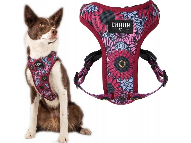 Chaba CHABA SZELKI GUARD COMFORT STORY ``S`` LAKOTA 1,6/29-39cm | Sällskapsdjur - Hund - Träning av hund och ägare | GameStuff