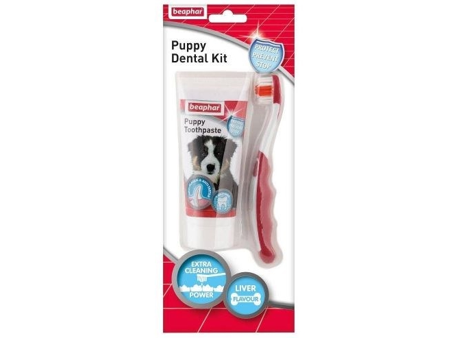 Beaphar PUPPY DENTAL KIT PASTE&BRUSH 50g pasta+szczoteczka