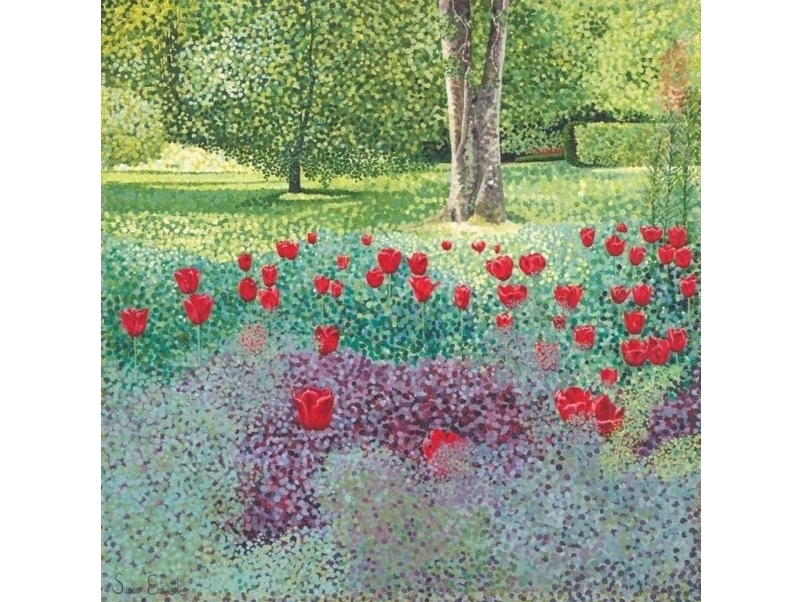 Susan Entwistle Karte Mit Umschlag Tulpen Im Garten