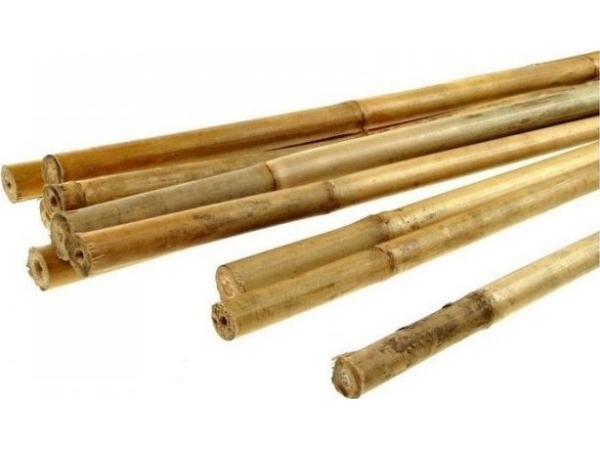 Iso BAMBUS TIP 6/8MM*900MM (1 PACK)