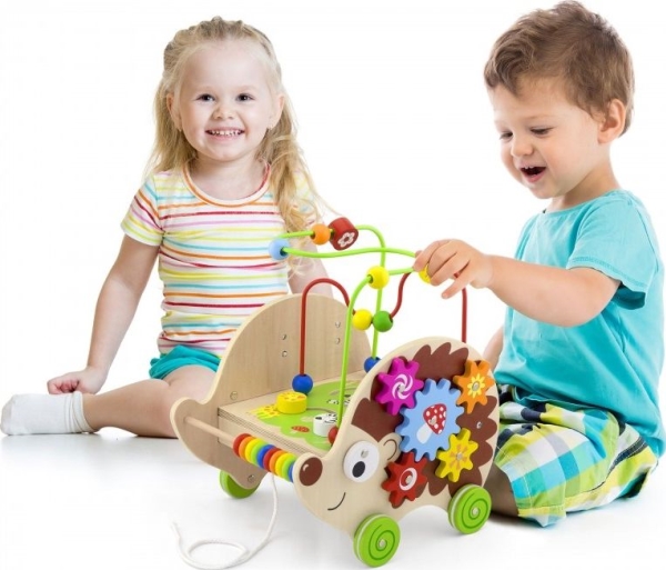 Medinis Ežiukas su įvairiomis užduotimis 4in1 ,,VIGA TOYS