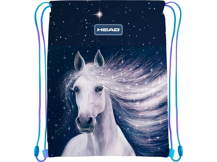 Astra Head Galaxy Skotaske, Ad1
