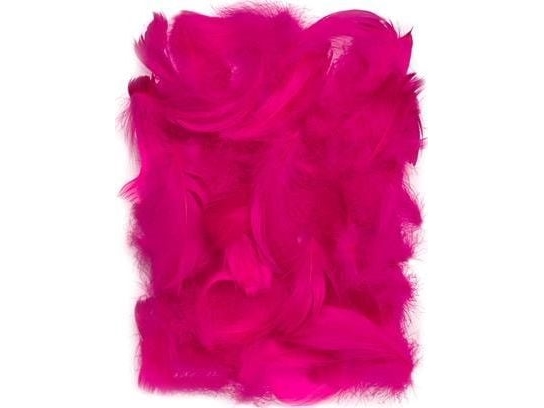 Dalprint Fjer Dpcraft 5-12 Cm 10 G Dark Pink